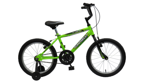 https://d2r9epyceweg5n.cloudfront.net/stores/001/183/869/products/kids-r16-verde-2021-web-fransoi_1344x768-wpcf_840x4801-61db247b641c47020416672271343356-480-0.png