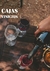 Banner de Vinicius Vinos Online
