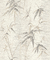 Florentine III 1YA00507539