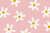 Margarita Rosa - comprar online