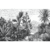 Mural Tropical - comprar online