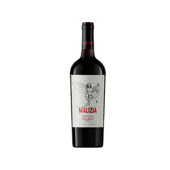 Vinho Malizia cabernet sauvignon 750 ml