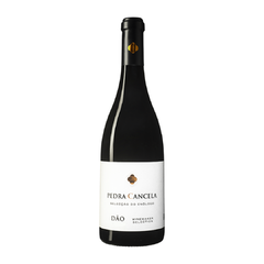 Vinho Pedra cancela seleção do enólogo branco 750 ml