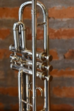 Trompeta Deco - comprar online