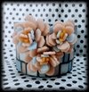 Maceta con flores 3D Light Blue & Rose