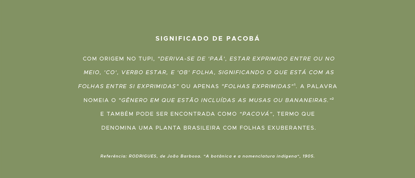 com origem no tupi, "deriva-se de 'paã', estar exprimido entre ou no meio, 'co' verbo estar e 'ob' folha.