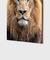 Quadro Decorativo Rei Leão - Fotografia, Animal, Natureza, Leão - comprar online