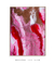 Imagem do Quadro Decorativo Abstrato 5086 - Pintura, Arte Plástica, Rosa