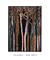 Quadro Decorativo Califórnia - Natureza, Árvores, Verde, Tropical na internet