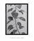 Quadro Decorativo Detalhes da Planta - Fotografia, Natureza na internet