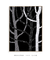 Quadro Decorativo Floresta Noturna 2 - Natureza, Árvores, Tropical na internet