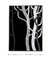 Quadro Decorativo Floresta Noturna 3 - Natureza, Árvores, Tropical - loja online