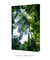 Quadro Decorativo Verde Tropical - Árvore, Natureza, Flora, Fotografia - loja online
