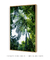 Quadro Decorativo Verde Tropical - Árvore, Natureza, Flora, Fotografia na internet
