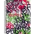 CADERNO 1 MATÉRIA CAPA DURA 80FLS – BOM D+ MASCULINO - comprar online