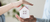 Carrusel Kabals - Servicios Inmobiliarios