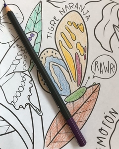Mural Mariposas para Colorear - comprar online