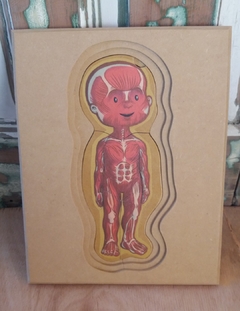 Rompecabezas Cuerpo Humano Nena en internet