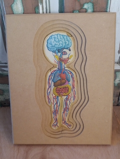 Rompecabezas Cuerpo Humano Nena - Ualen Juguetes