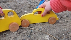 Auto Escarabajo en internet