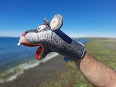 Titere Ratón