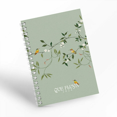 Agenda "Bloom" en internet