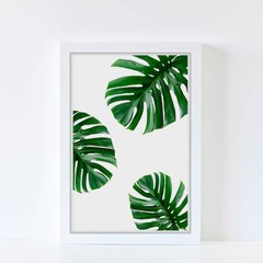 Adan Verde - comprar online