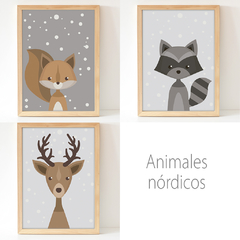 Conejo (Animales nórdicos) en internet