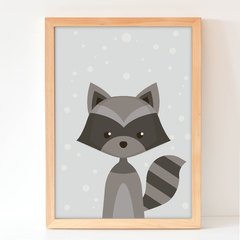Mapache (Animales nórdicos)