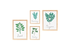 Parsley - Plantas aromaticas en internet