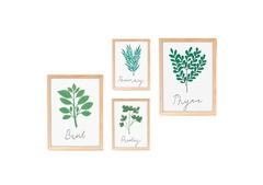 Thyne - Plantas aromaticas en internet
