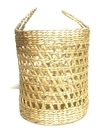 Canasto Carter
