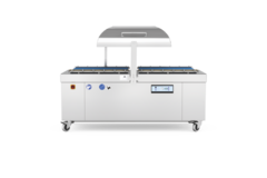 Dupla Câmara MULTIVAC P 650 - comprar online