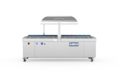 Dupla Câmara MULTIVAC P 700