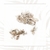 Salvia - comprar online