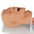 Simulador - Cabeça de Intubação Adulto - comprar online