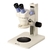Microscópio Estereoscópico Binocular, Zoom de 0,7X até 3X , Aumento 7 X ~ 30X e Iluminação Refletida 8W Fluorescente.