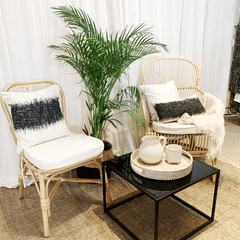 Silla Hawaii en internet