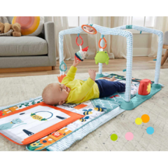 Gimnasio Fisher Price casita de campo - tienda online
