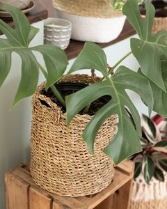 Cesto de Fibra Natural M
