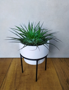 Jogo 2 Cachepots Preto e Branco Com Suporte na internet