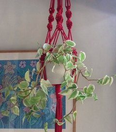 Hanger Macramê Suporte Plantas