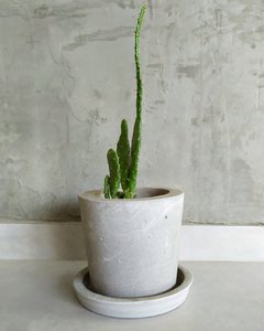 Vaso de Cimento Com Furo e Pratinho