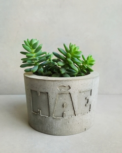 Vaso de Cimento Mãe