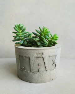 Vaso de Cimento Mãe