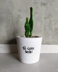 Vaso de Cimento Tô Com Sede Cachepot