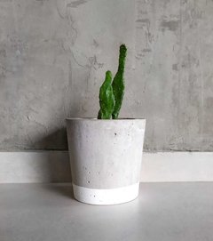 Vaso de Cimento Com Faixa Cachepot na internet