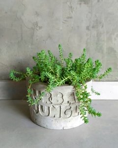 Vaso de Cimento Urban Jungle
