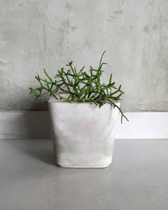Vaso de Cimento Cachepot Quadrado na internet