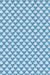 Blue Shirt - Anunciação